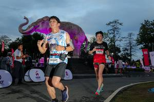 BIB: 
                            <button type="button" onclick="openModal(26529597)" class="btn btn-primary btn-sm float-right btn-popup" data-toggle="modal" data-target=".modal-high-quality">
                        <i class="fas fa-shopping-cart"></i> Add to Cart
                    </button>
                                            <button type="button" onclick="isThisMe(26529597, true)" class="btn btn-success btn-sm float-right btn-popup btn-isme hidden" data-toggle="tooltip" data-placement="bottom" title="นี่คือรูปของคุณใช่ไหม คลิกที่นี่เพื่อเอาเข้าอัลบั้ม">
                        <i class="fas fa-plus"></i> Add to album
                    </button>
                    <button type="button" onclick="isThisMe(26529597, false)" class="btn btn-warning btn-sm float-right btn-popup btn-isnotme hidden">
                        <i class="fas fa-ban"></i> Remove from album
                    </button>